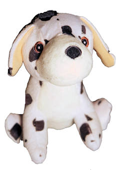 Rudy